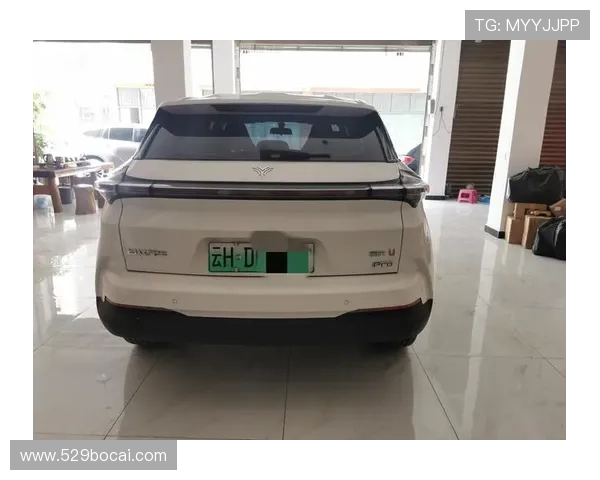 u投平台的优势与劣势,你了解多少? u投平台的优势与劣势,你了解多少?